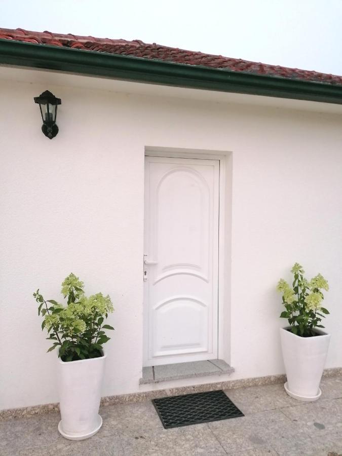 Casa Das Castanheiras Vieira do Minho Exterior photo